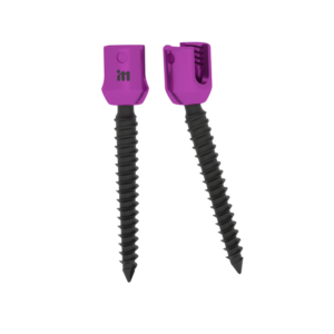 Single Lock Poly Screw