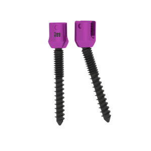 Dual Thread Polyaxial Screw